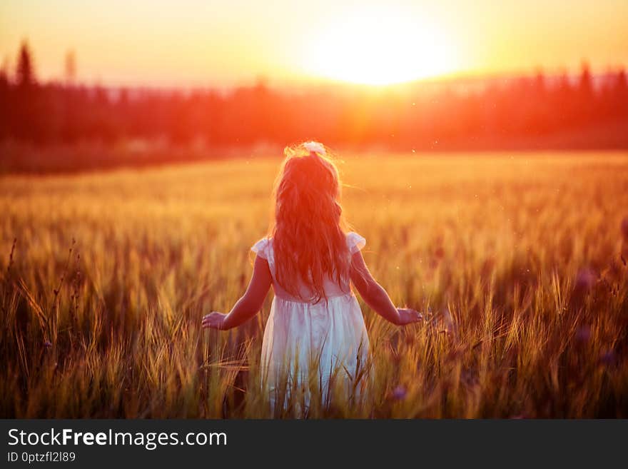 Little girl in white dress in field at sunset