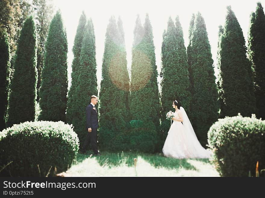 Happy wedding couple walking in a botanical park.