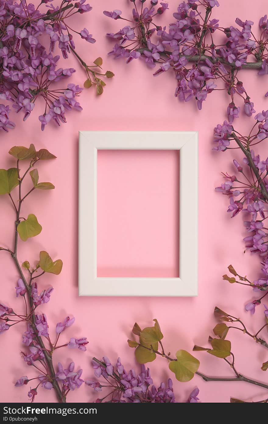 Flowers Composition. Purple Flowers, Leaves And Photo Frame On Pastel Pink Background