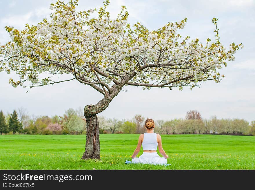 Beautiful woman is practicing yoga sitting in Lotus pose near blossom tree