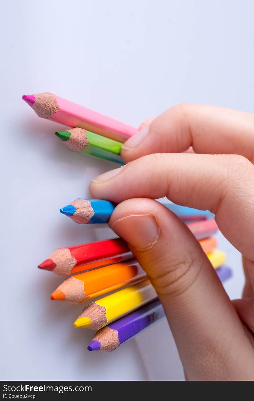 Hand holding color Pencils placed on a white background. Hand holding color Pencils placed on a white background