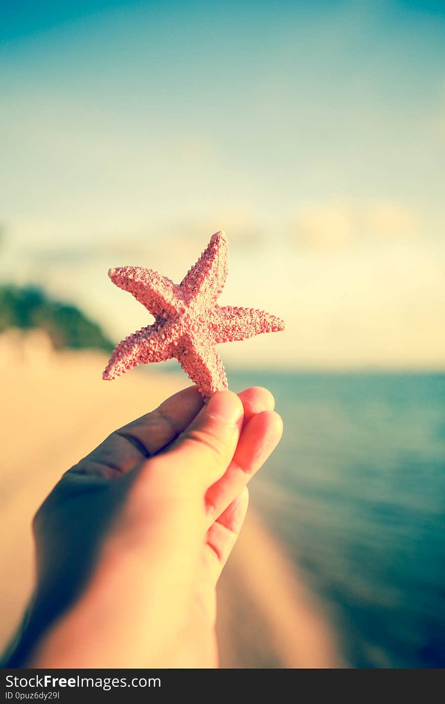 Seashells on the beach