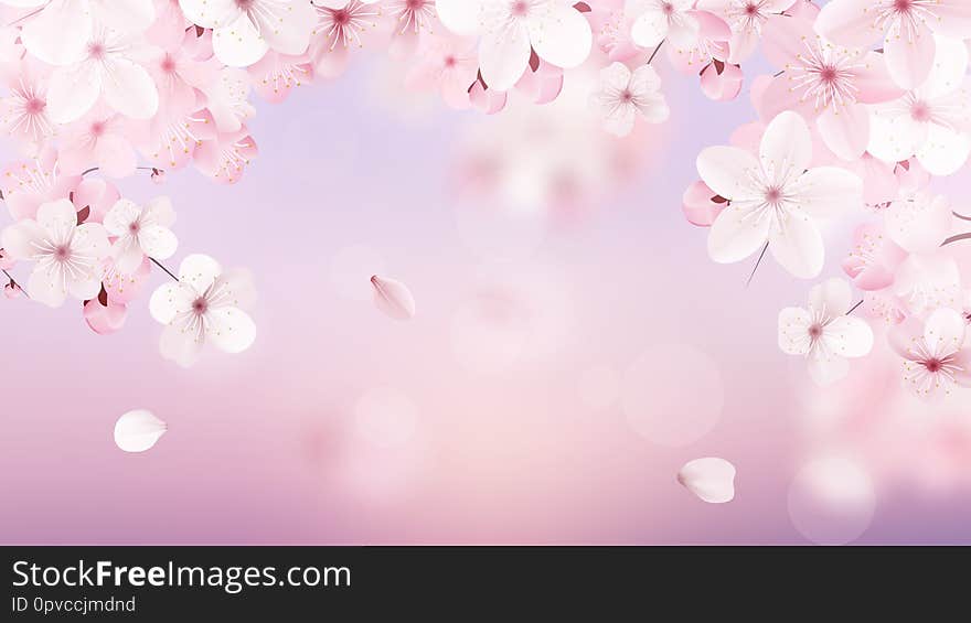 Beautiful delicate background with blossoming light pink sakura flowers with place for text. Delicate floral design. Realistic  vector illustration.