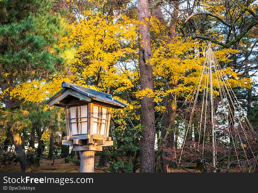 Autumn foliage at Kenrokuen Garden in Kanazawa, Japan