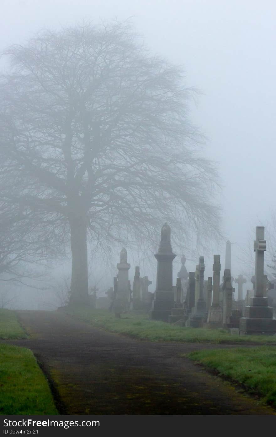 Graves in a mist