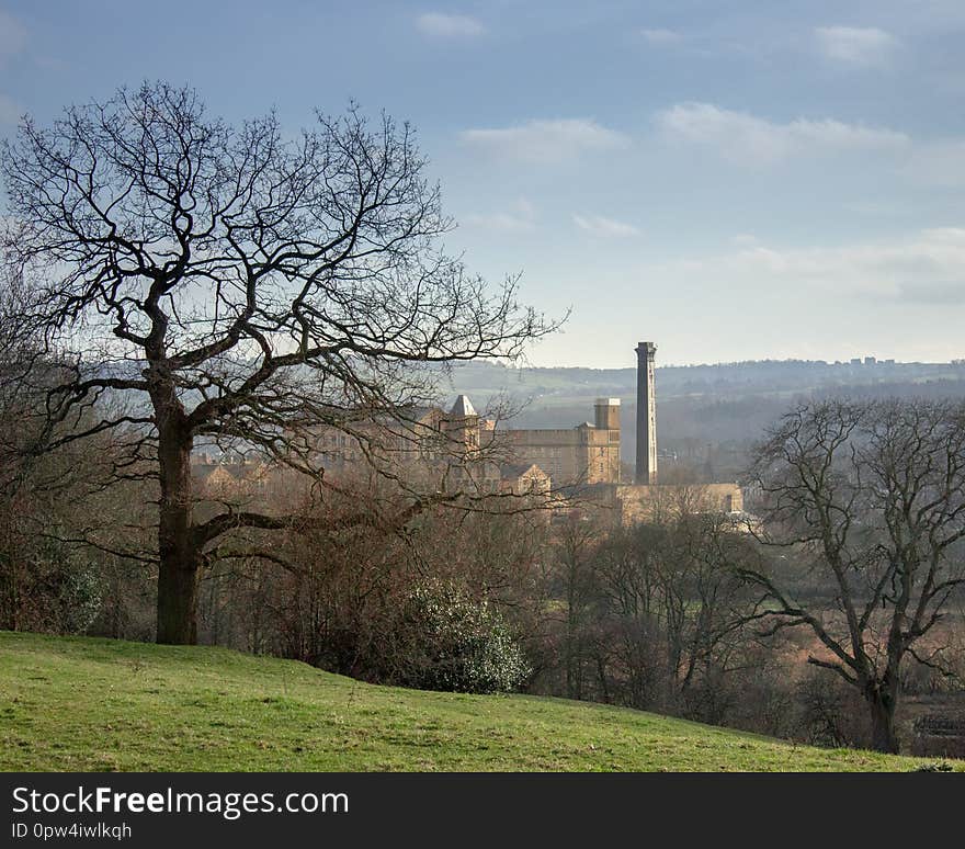 The view from Bingley`s famous five-rise locks takes in the natural world and also the Victorian mills that brought wealth to the town. The view from Bingley`s famous five-rise locks takes in the natural world and also the Victorian mills that brought wealth to the town