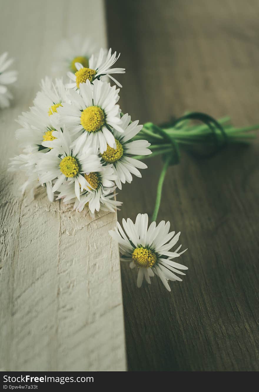 Close up view of a bunch of blooming white daisies leaned against a rustic wooden background. Vintage style toned image. Hello spring, love, or spring flowers background. Close up view of a bunch of blooming white daisies leaned against a rustic wooden background. Vintage style toned image. Hello spring, love, or spring flowers background