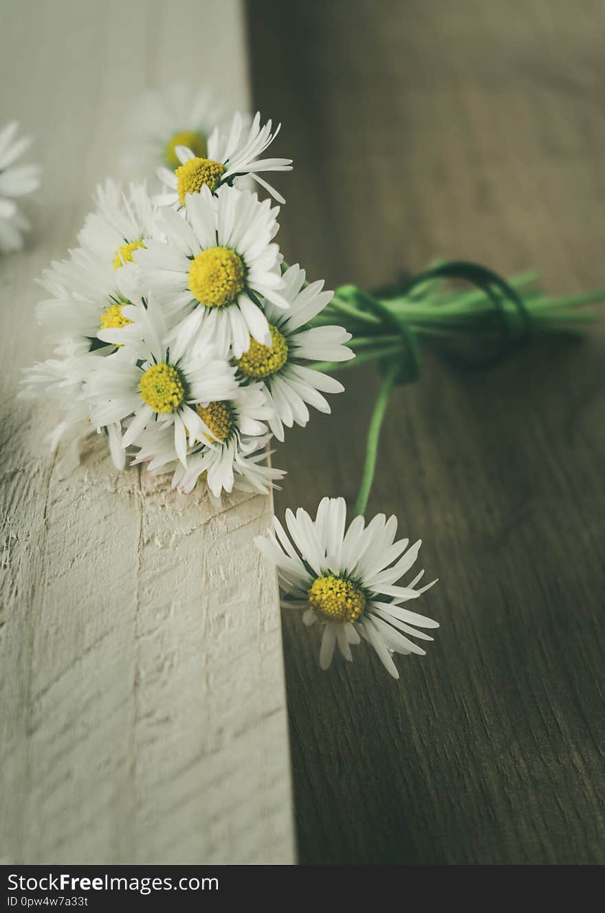 A bunch of blooming daisies on rustic wooden background