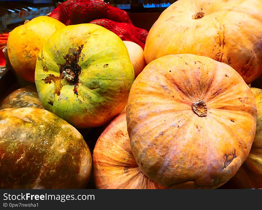 Demonstration of pumpkins in a greenhouse environment in a vegetable shop