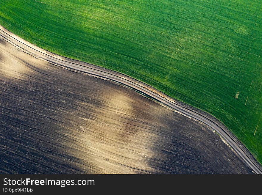 Green spring field