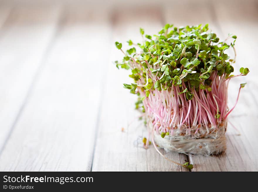 Fresh Pink Radish Sprouts On Old Wooden Table