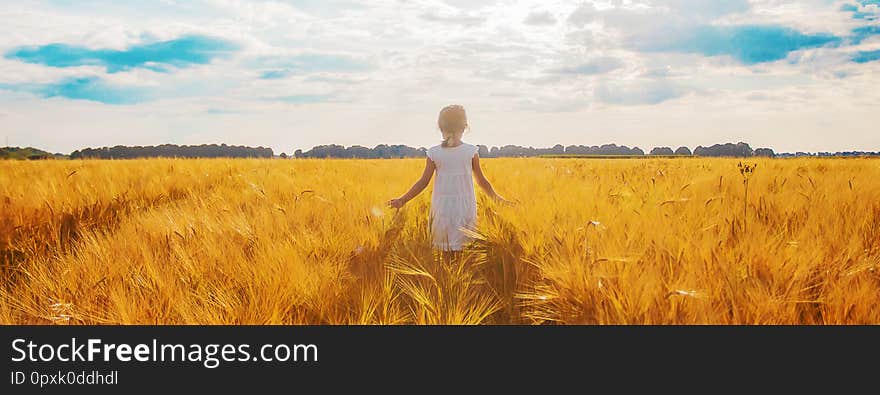 Child in a wheat field. selective focus. nature