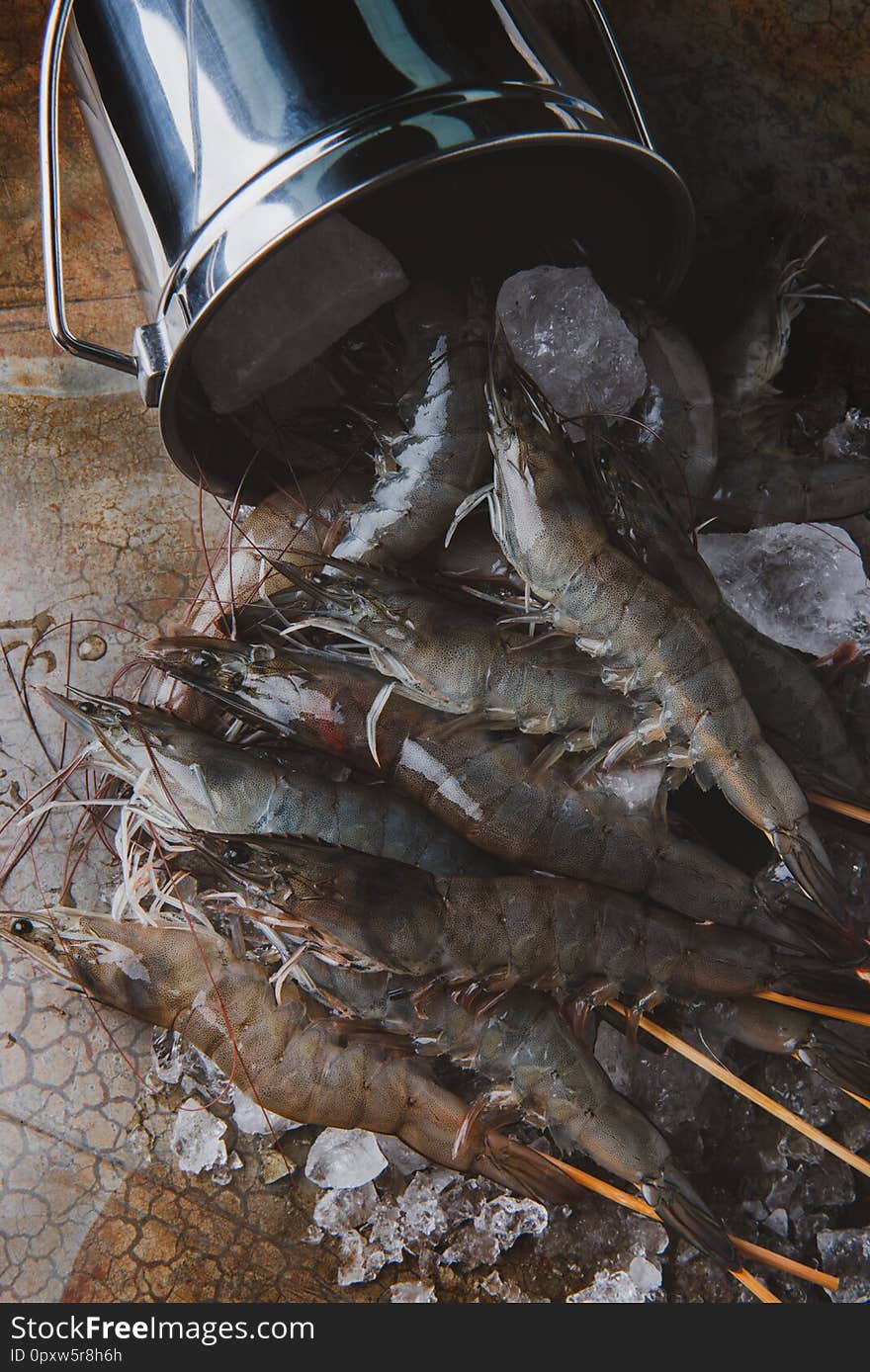 Shrimps or prawns and ice bucket with low and dark shadow lihjting concept