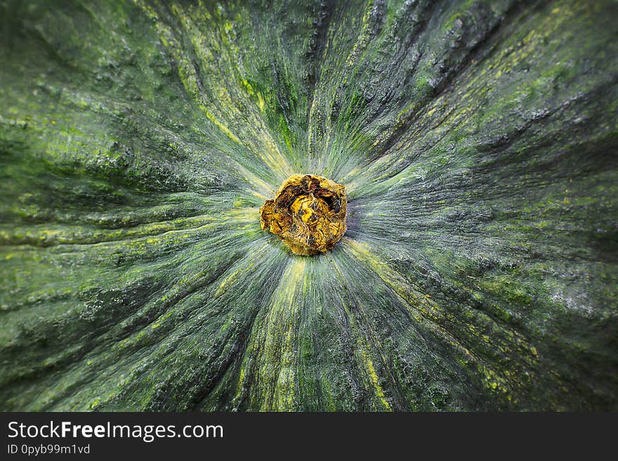 Green pumpkin on wood table image close up