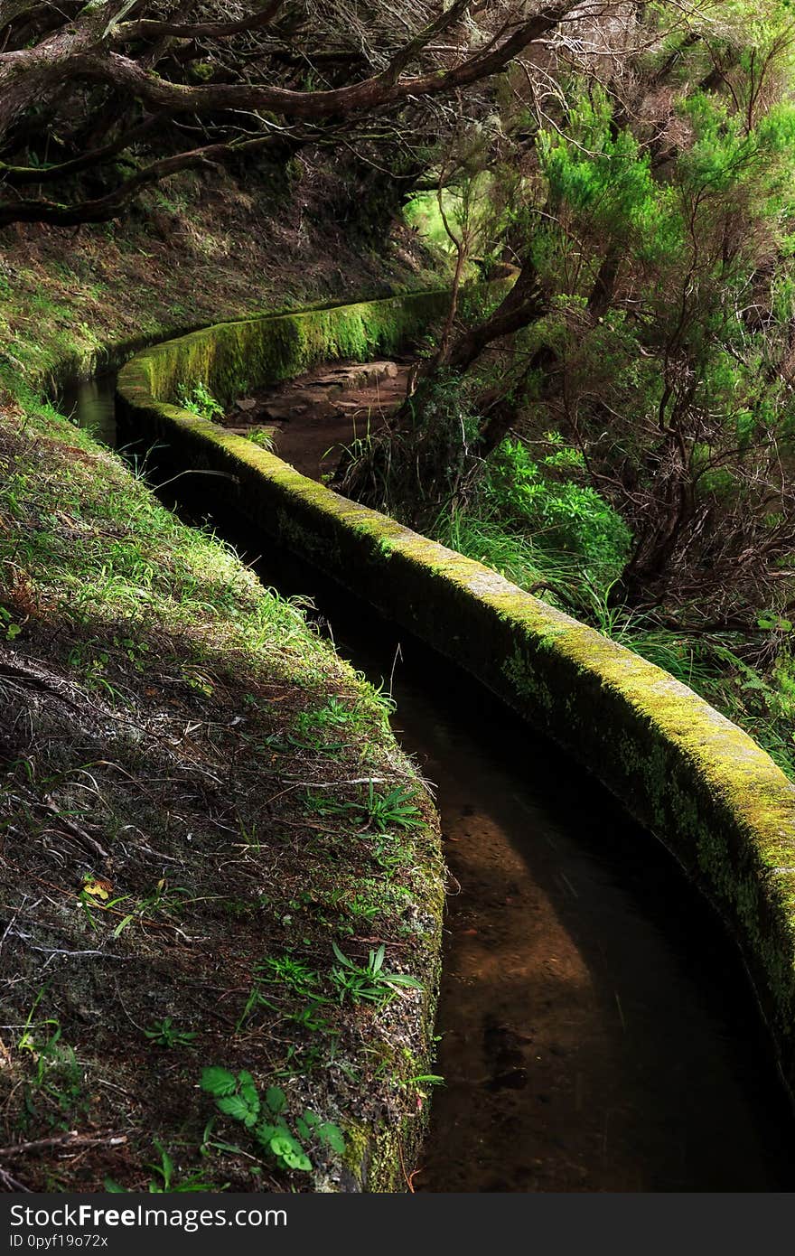 Beautiful landscape view of the hiking path in nature on the green island Madeira, during a hike on 25 Fontes trail along a famous levada. Beautiful landscape view of the hiking path in nature on the green island Madeira, during a hike on 25 Fontes trail along a famous levada