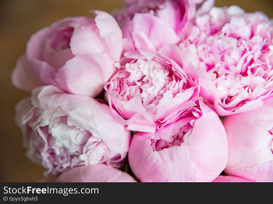 Pink peonies blossom background. Flowers bouquet