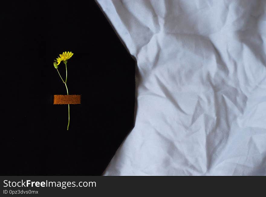 Background with a yellow flower in a black suede cover on a gray fabric background