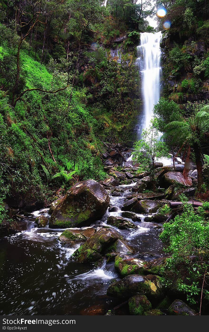 Water cascades down a waterfall in the jungle before heading into some rocks covered by moss. Water cascades down a waterfall in the jungle before heading into some rocks covered by moss.