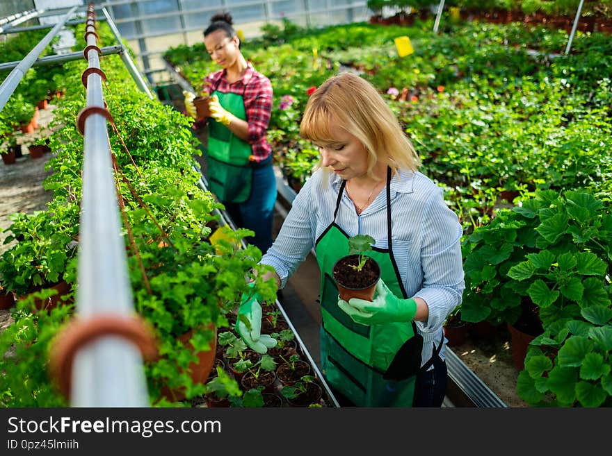 Two women working in a botanical garden.