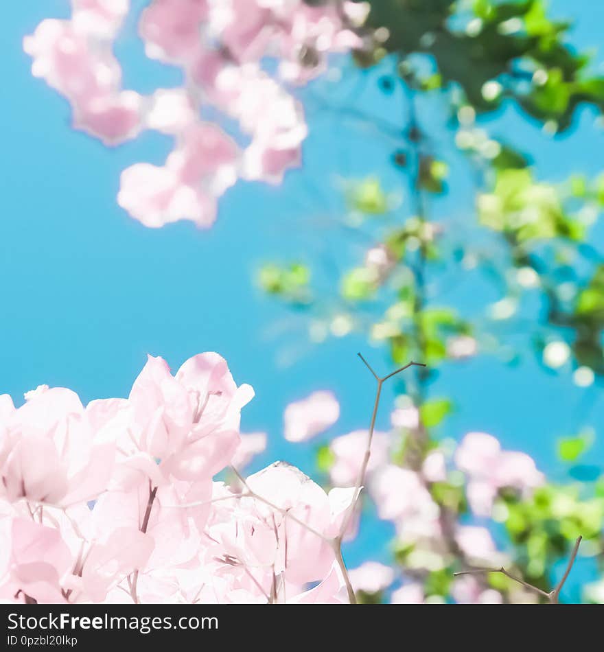 Blooming beauty, wedding invitation and nature concept - Pastel pink blooming flowers and blue sky in a dream garden, floral background