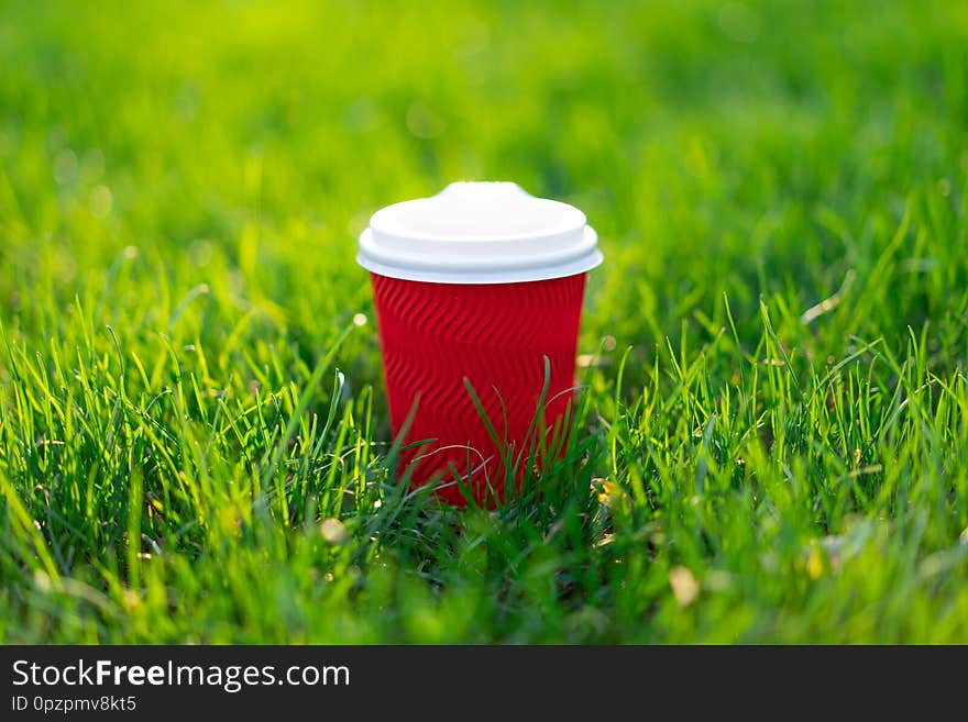 A red disposable cardboard cup with hot tea stands in fresh green grass. morning fresh concept