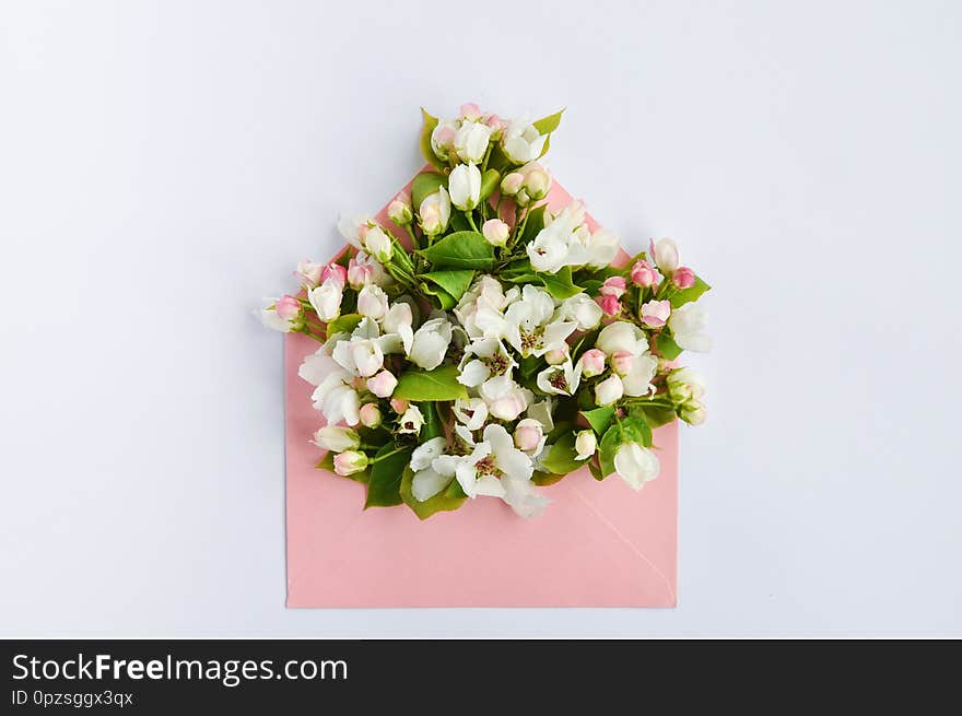 Delicate buds of a flowering Apple tree in a pink paper envelope on a white on a pink background. Flat lay, top view