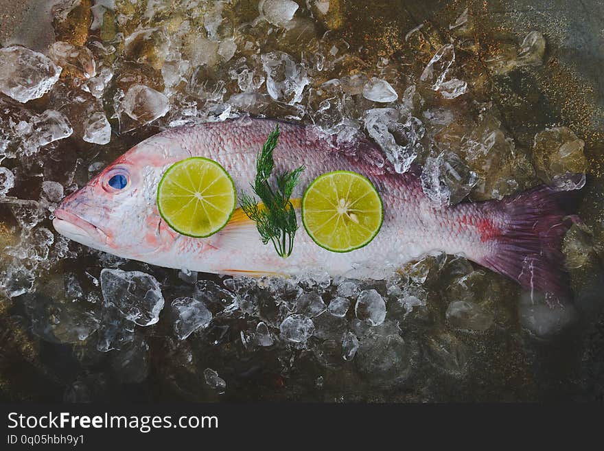 Fresh red snapper sea fish from fishery market frozen in ice piece