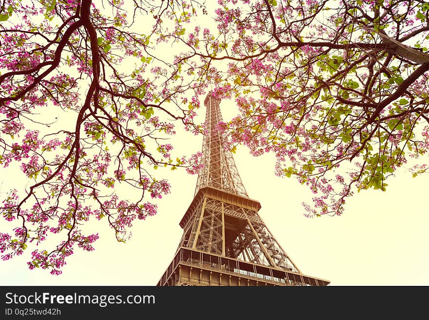 Eiffel tower icon with spring blooming flowers in vintage style. Eiffel tower icon with spring blooming flowers in vintage style