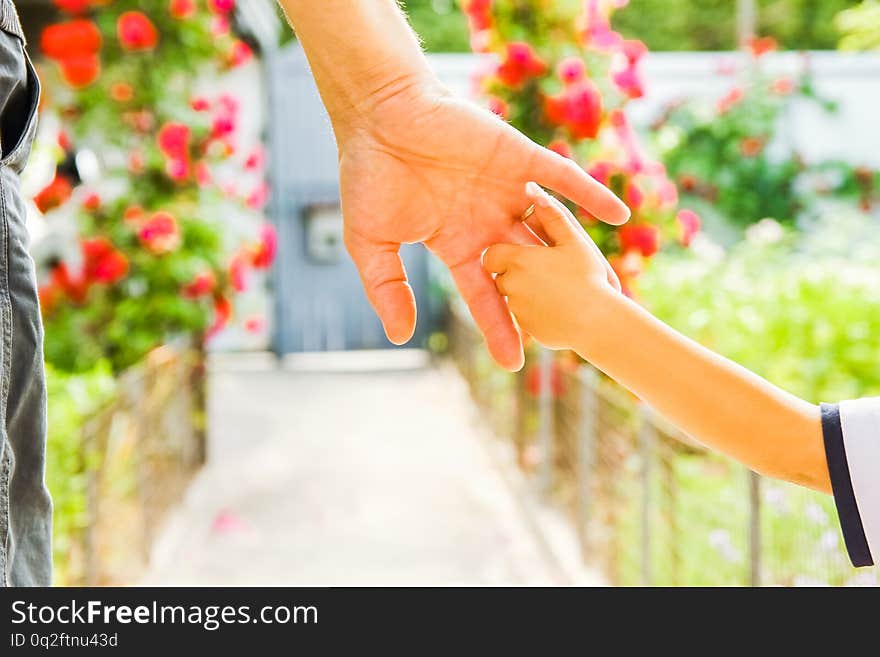 Beautiful hands of a child and a parent in a park in nature