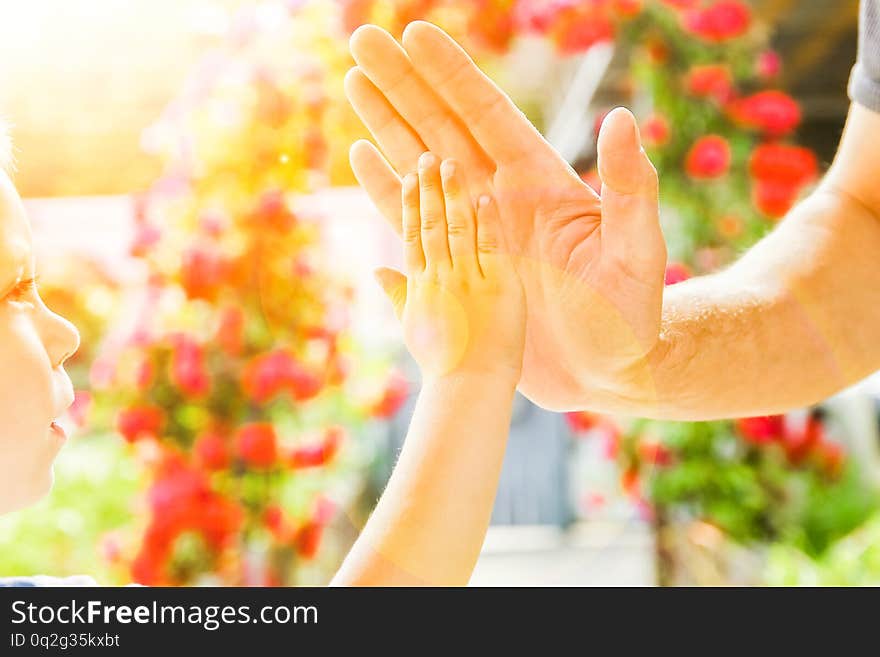 A beautiful hands of a child and a parent in a park in nature