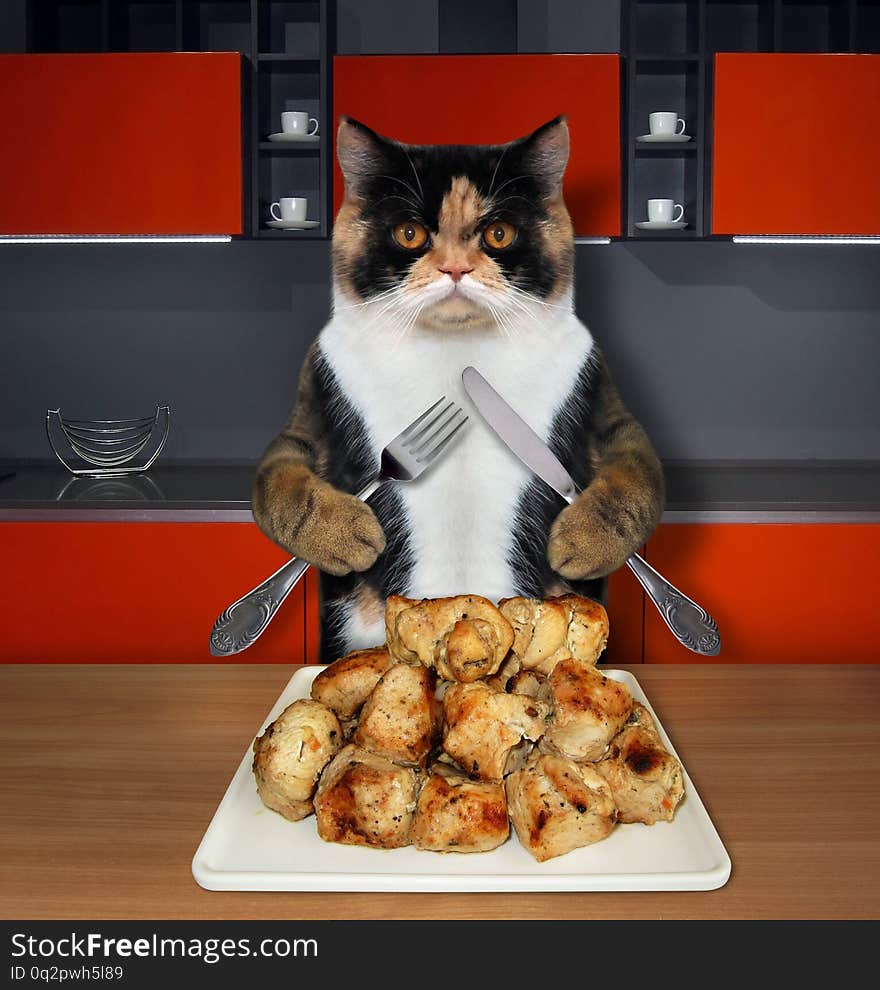 The cat with a knife and a fork sits in front of the square plate of grilled meat in the kitchen. The cat with a knife and a fork sits in front of the square plate of grilled meat in the kitchen