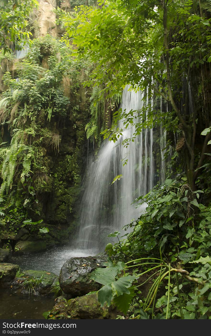 Waterfall in deep forest, green grass, stones, trees