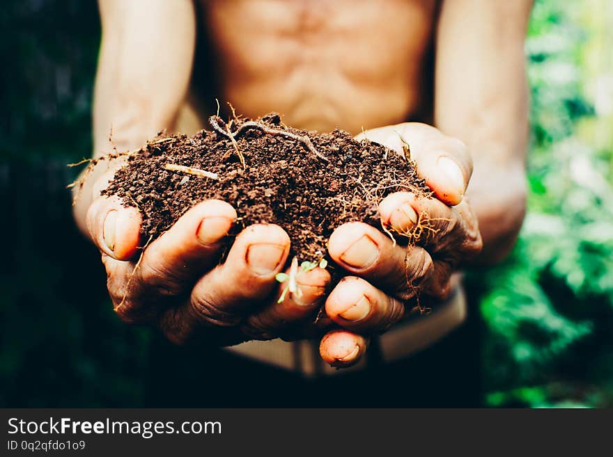 The men sewing seed for growing plants, gardening. environment concept, save the earth concept, climate change. The men sewing seed for growing plants, gardening. environment concept, save the earth concept, climate change