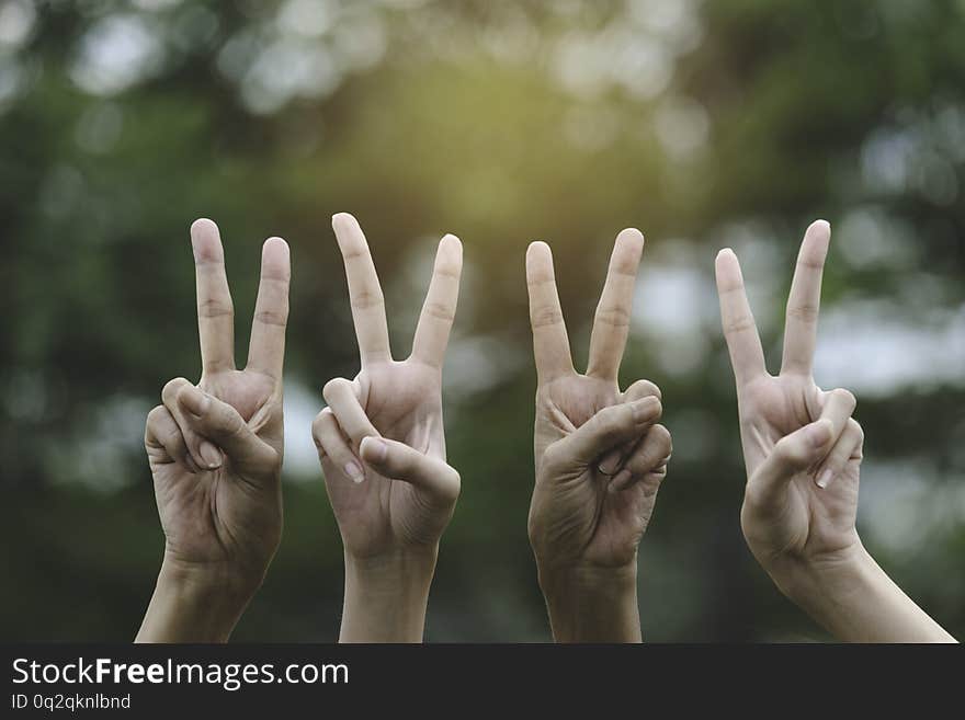 Hand making two finger for victory in nature background