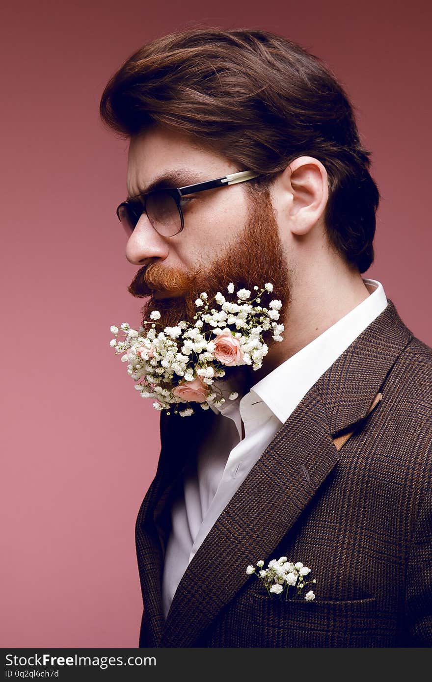 Profile portrait of a fashionable bearded man with flowers in beard, isolated on a dark pink background.