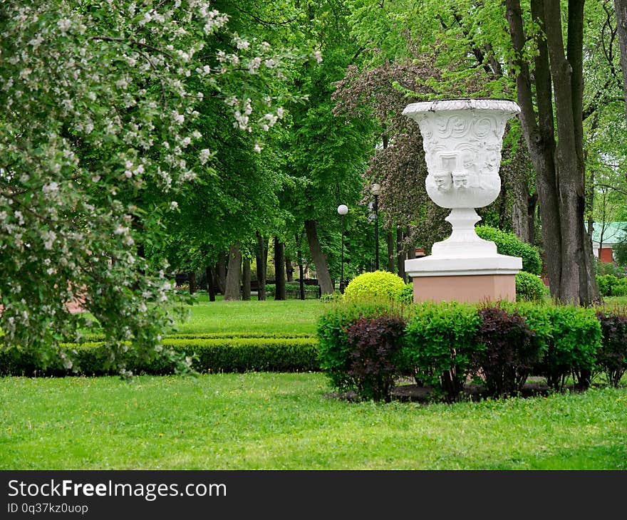 Beautiful young greens in the city park. GOMEL, BELARUS 5