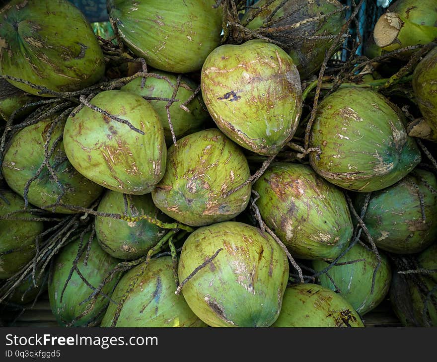 Fresh Green Coconuts Textured Background