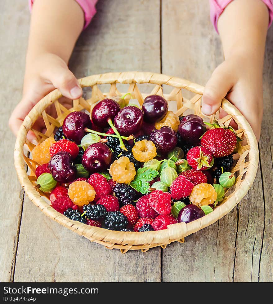 The child is picking cherries in the garden. Selective focus