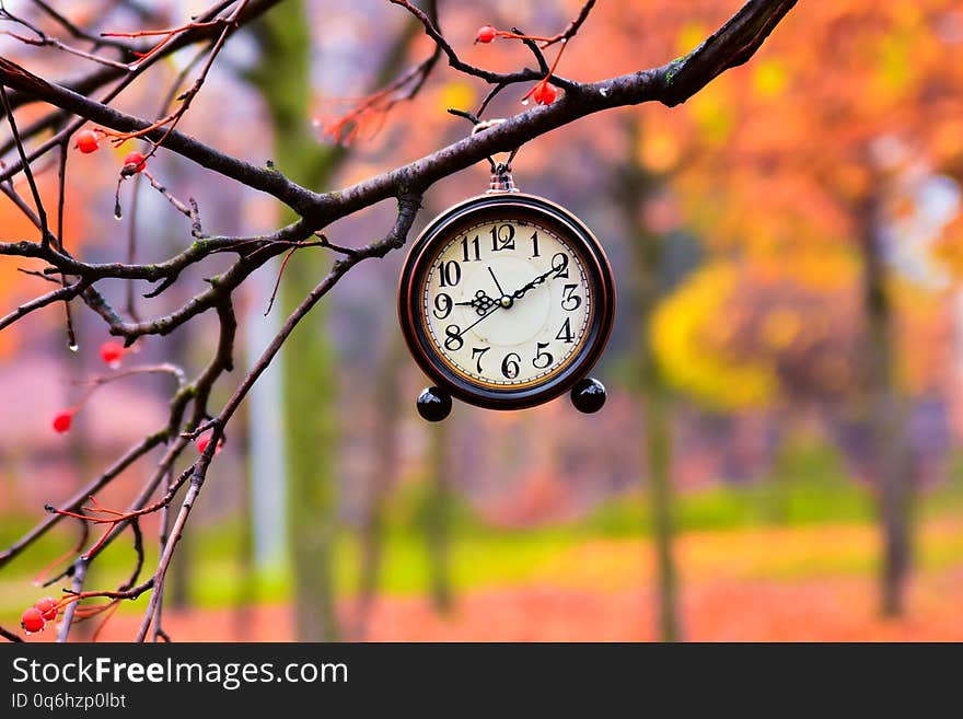 Vintage clock hanging on a tree