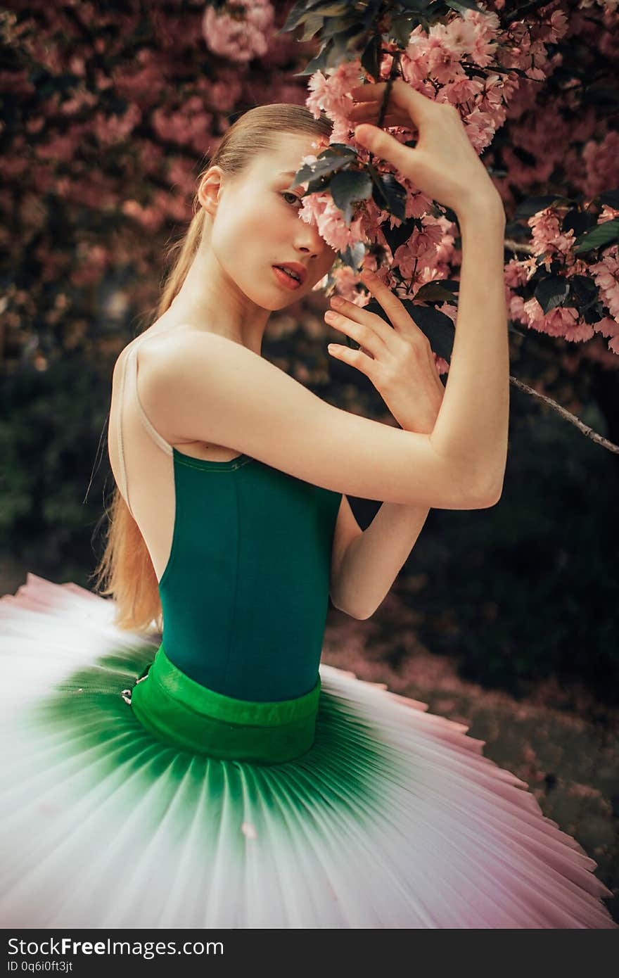 Ballerina standing in a beautiful tutu next to flowering branch of sakura tree in the park. Closeup. Ballerina standing in a beautiful tutu next to flowering branch of sakura tree in the park. Closeup