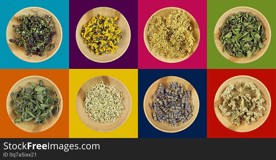 Dried herbs in wooden bowl on colored background, blue, purple, pink, green, orange, yellow, dark blue, red. Medical herbs from Europe - Czech Republic. Dried herbs in wooden bowl on colored background, blue, purple, pink, green, orange, yellow, dark blue, red. Medical herbs from Europe - Czech Republic