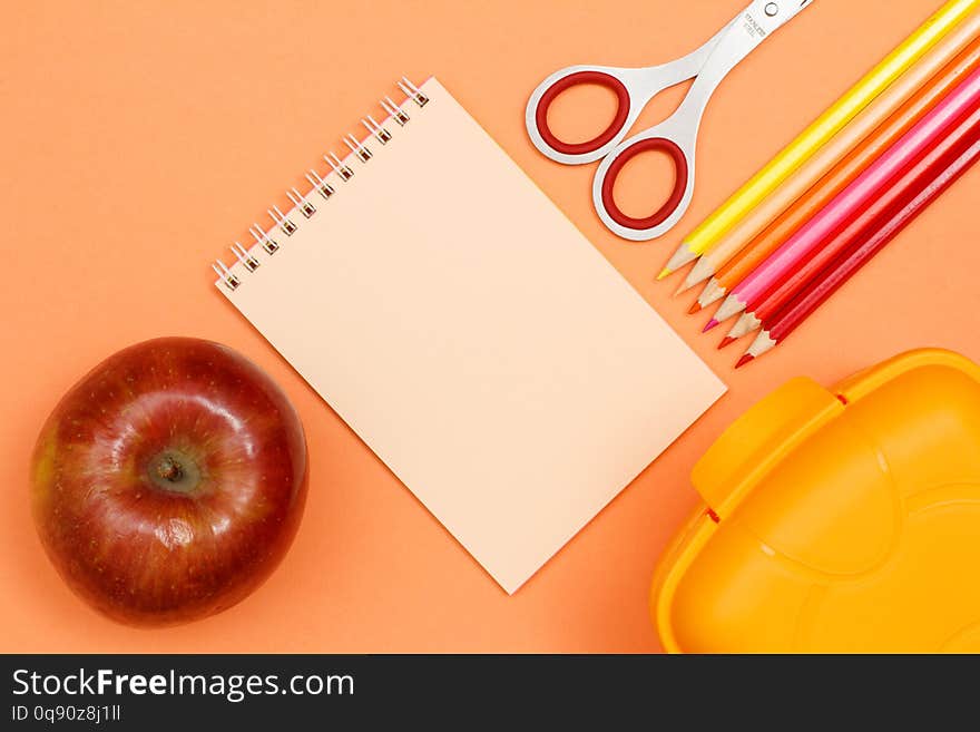 Apple, notebook, scissors, color pencils and lunch box on pink background. Top view with copy space. Back to school concept. School supplies. Pastel colors