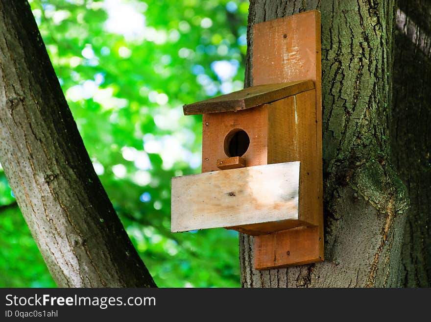 Birdhouse on a tree in forest park on spring day, hand wood shelter for birds