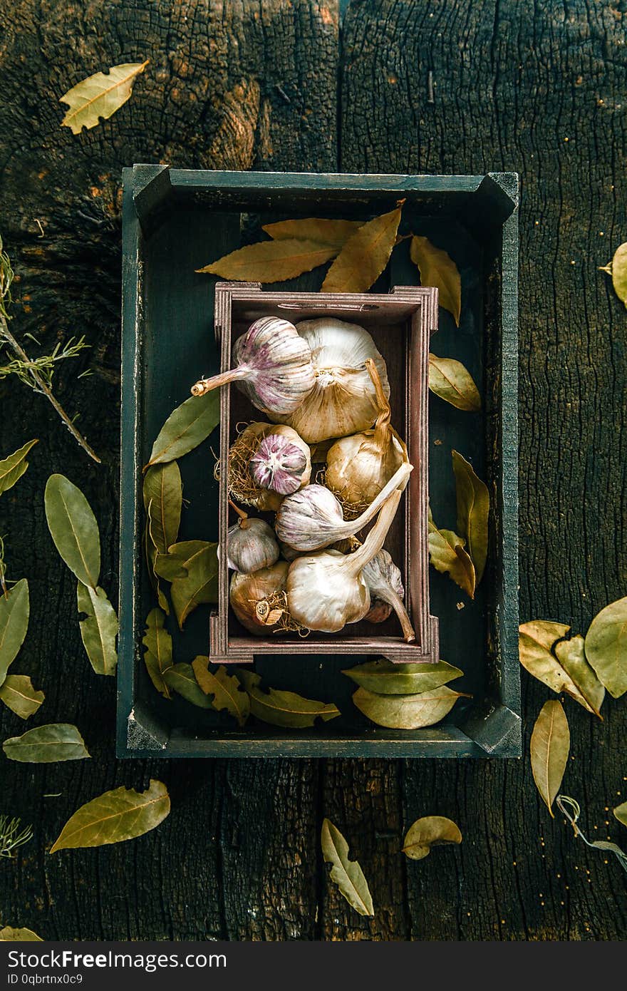 Vegetables on wood. Organic vegetables in rustic setting.Garlic on wood