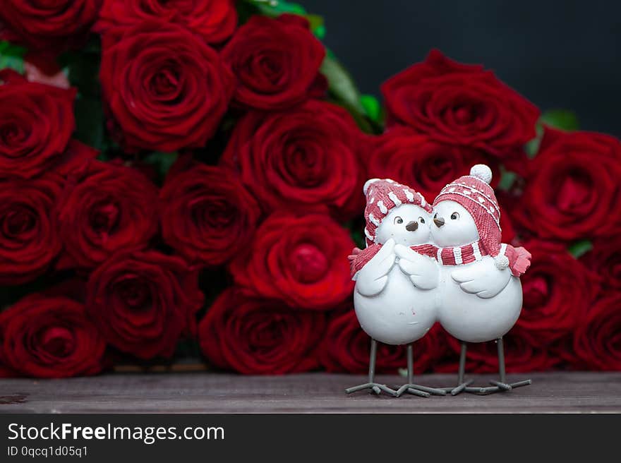 Concept Valentine day, love, two cute love birds on a background of red roses. Stylish love concept, space for text