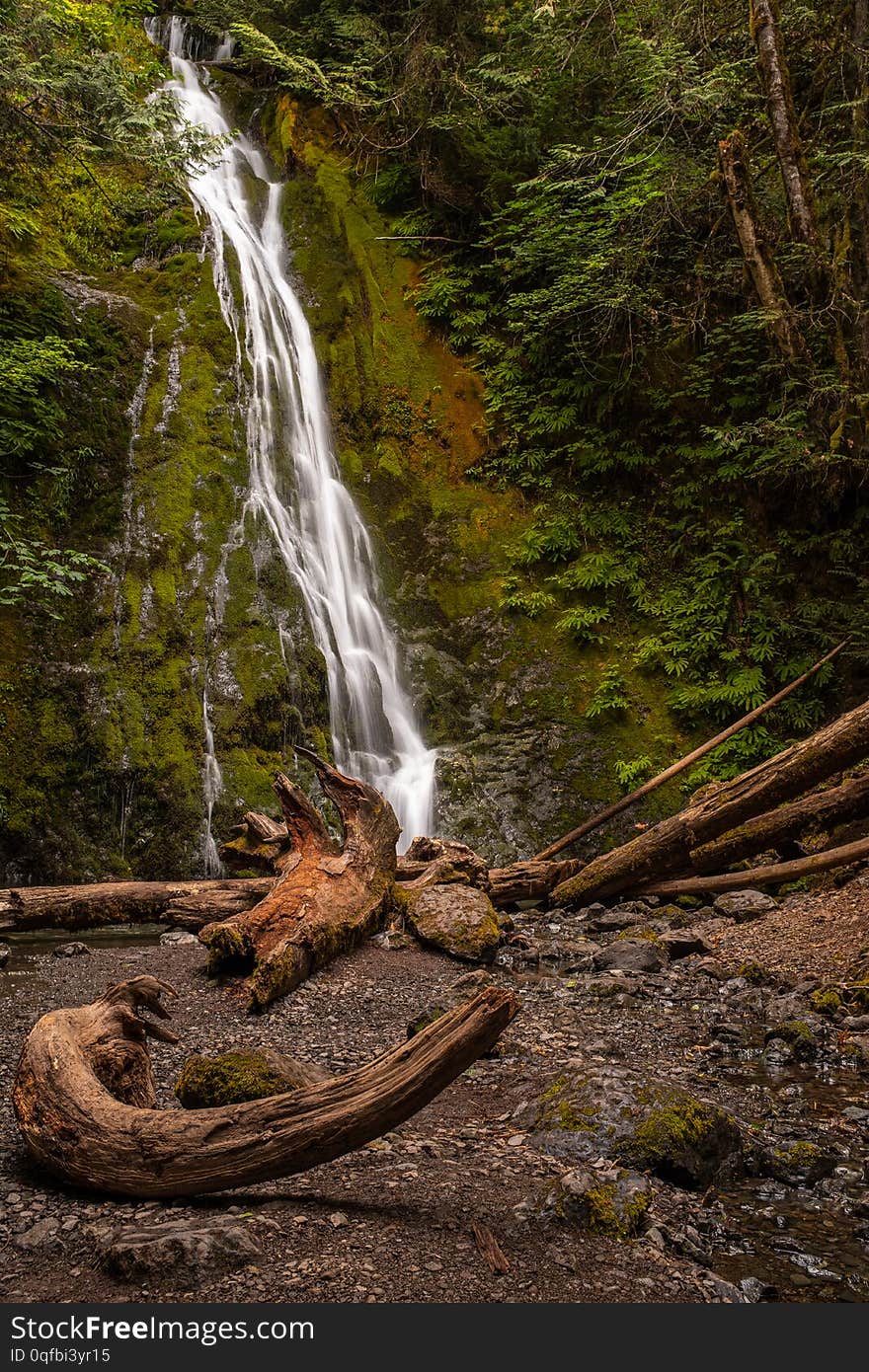 The Marymere Waterfall in Olympic National Park, Washington State, USA, on a long exposure to add blurred motion to the