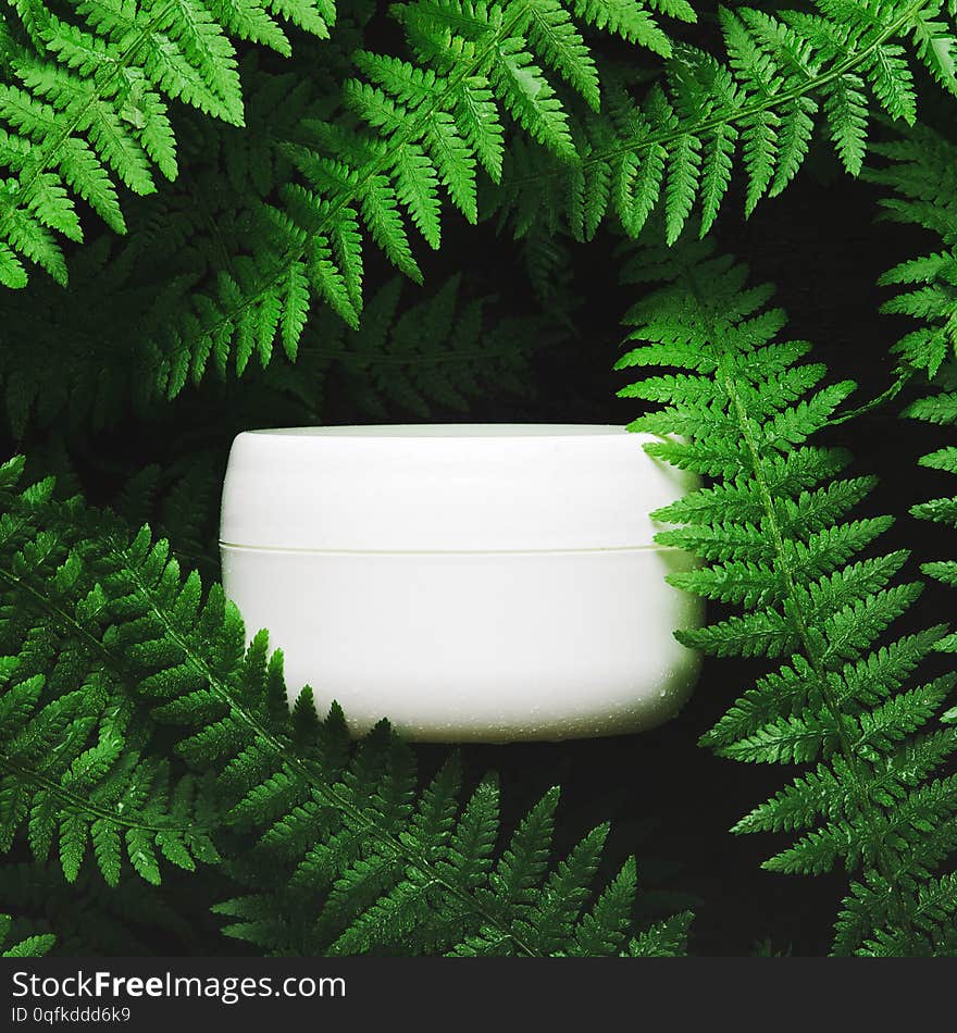 White jar of face cream on a background of forest herbs, fern. Dark light, top view, flat lay. Concept natural cosmetics.