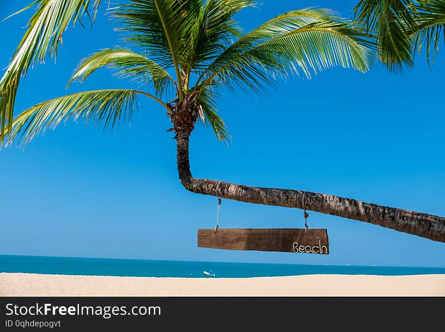 Landscape of coconut palm tree, Sandy beach with sea and blue sky background.