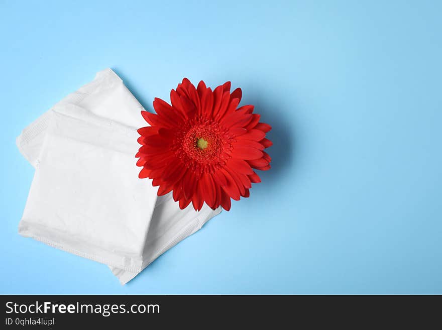 Flat lay composition with menstrual pads and gerbera flower on color background, space for text. Gynecological care