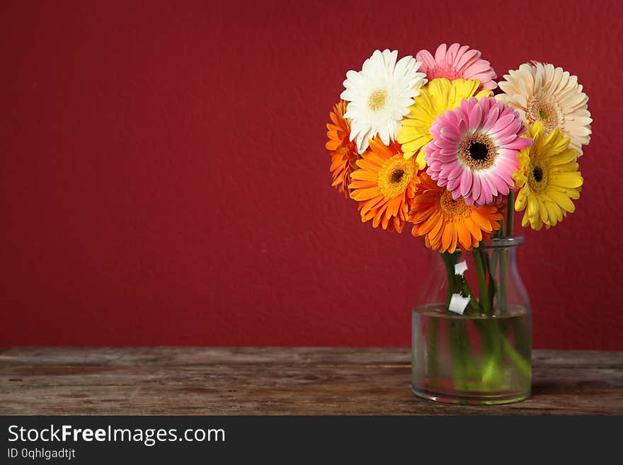 Bouquet of beautiful bright gerbera flowers in vase on wooden table against color background. Space for text